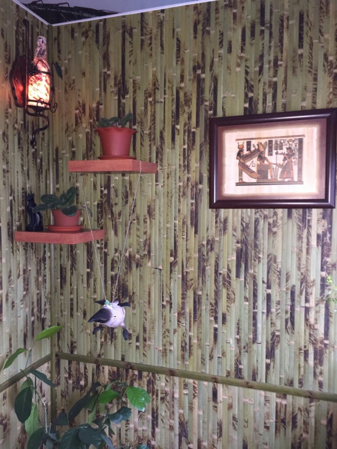 Экзотический уголок