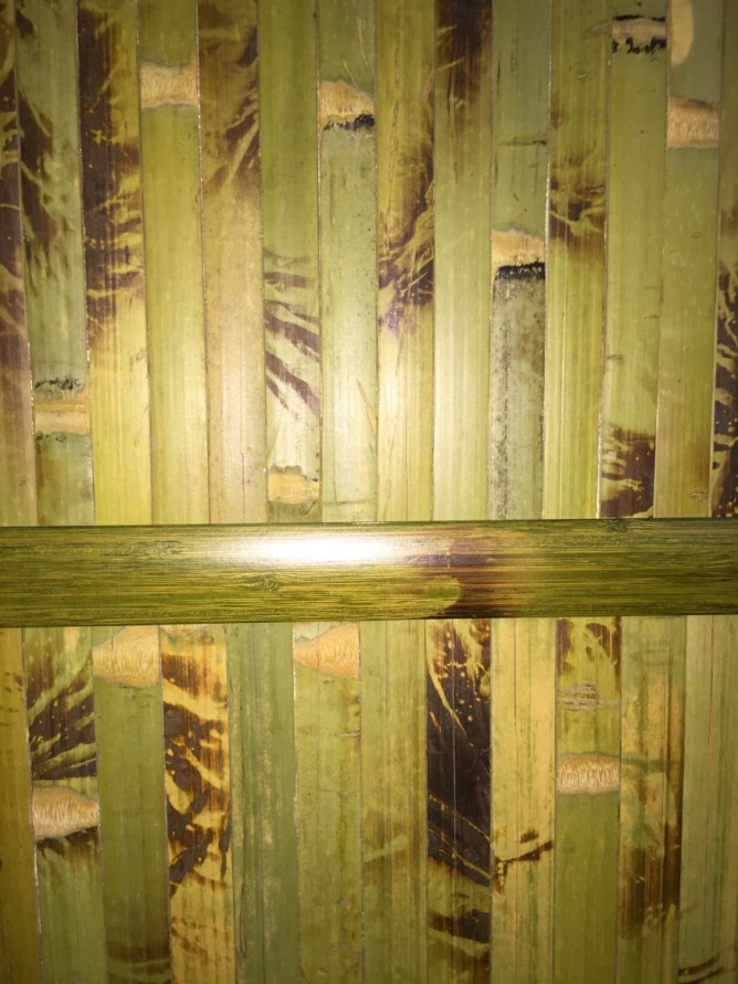 Бамбуковая стена