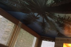 Экзотический потолок