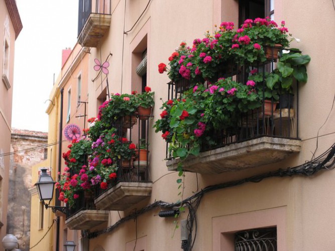 Часто французские балконы украшают цветами