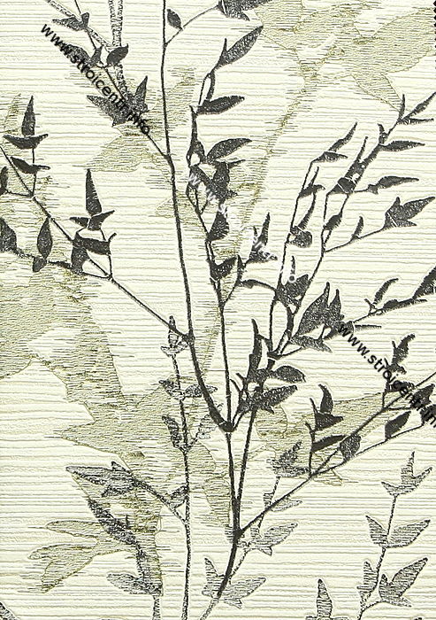 Ветви деревьев