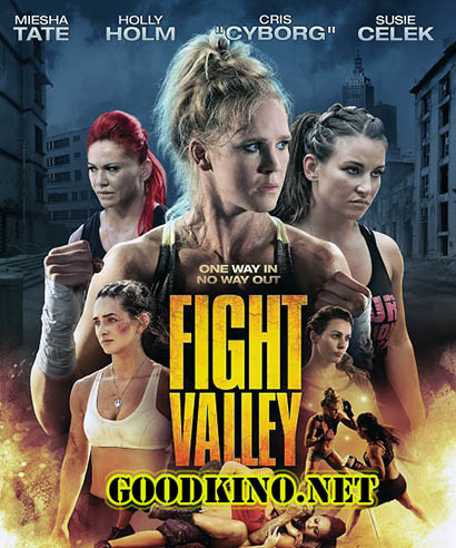 Долина борьбы / Fight Valley (2016) смотреть