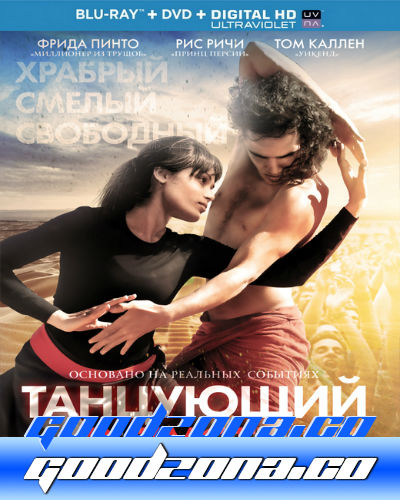 Танцующий в пустыне (2015) 